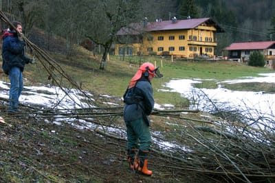 Beim Schwenden
