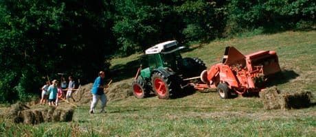 Magerrasenpflege am Hang