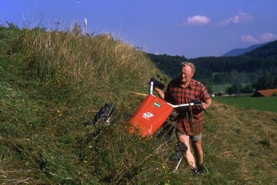 Halbtrockenrasen und Magerwiesen