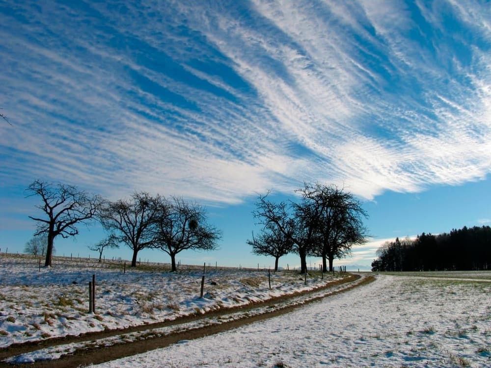 Obstanger mit Föhnhimmel