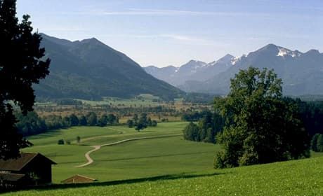 Bergener Moos