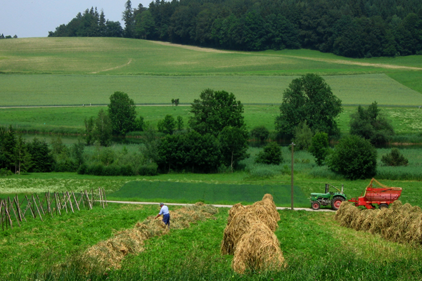 Naturnahe Kulturlandschaft