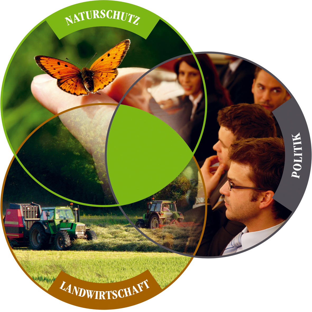 Symbol Drittelparität